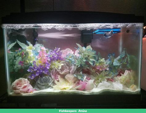 Pink Fish Tank Aesthetic, Fish Tank Ideas 10 Gallon, Kawaii Fish Tank, Pretty Fish Tank, Pink Fish Tank, Aesthetic Fish Tank, Aesthetic Fish Tank Ideas, Fish Tank Aesthetic, Kawaii Fish