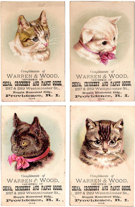 Vintage cats! Cat Ephemera, Vintage Cats, Antique Advertising, Pictures Of Cats, Cat Illustrations, Cat Vintage, Image Chat, Vintage Card, Cat Cards