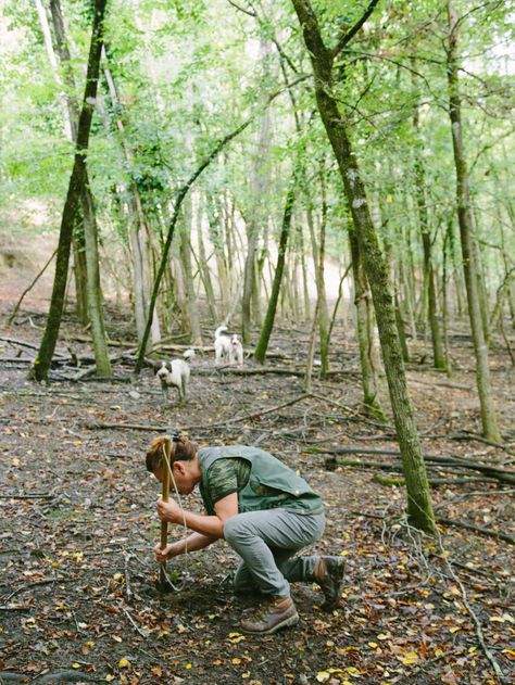 Spoon Fork Bacon, Truffle Hunting, Wild Food Foraging, Lagotto Romagnolo, Hobbies For Couples, Water Dog, Wild Food, Spoon Fork, Going On A Trip