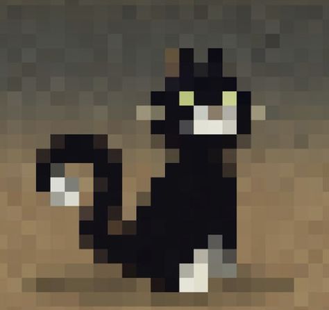 Minecraft, Kitty