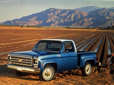 1977-78 Chevrolet C10 Cheyenne Stepside 87 Chevy Truck, Vintage Chevy Trucks, Chevy Stepside, Vintage Chevy, Super Images, Chevy Pickup Trucks, Old Pickup Trucks, Truck Yeah, Chevrolet C10