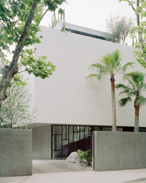 South Yarra House by Pandolfini Architects - Issue 14 Feature - The Local Project - The Local Project Pandolfini Architects, The Local Project, Profile View, Interior Architecture Design, Landscape Architecture, The Locals, Interior Architecture, Sculpture Art, Architects