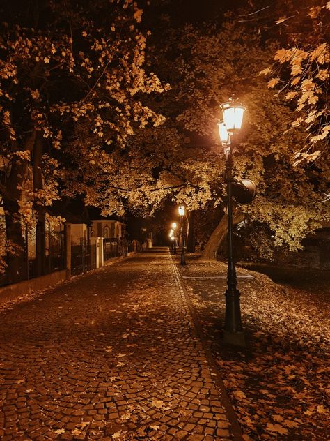 Rainy Autumn Night Aesthetic, Fall Town Aesthetic, Autumn Night Aesthetic, Night Fall Aesthetic, Halloween Night Aesthetic, Fall Night Aesthetic, Street Lights Aesthetic, Fall At Night, Night Autumn