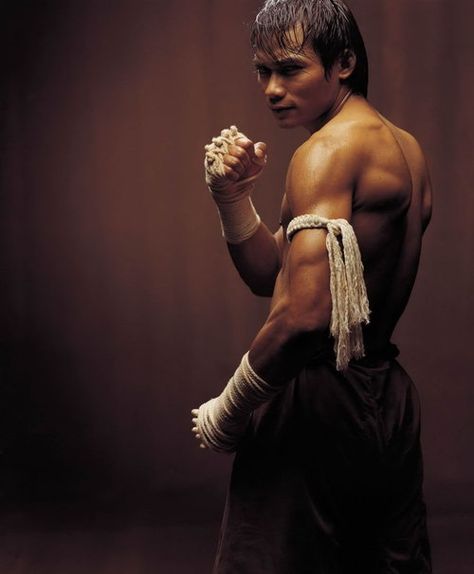 남성 근육, Tony Jaa, Foto Sport, Bon Film, Action Pose Reference, Male Pose Reference, Výtvarné Reference, Pencak Silat, 남자 몸