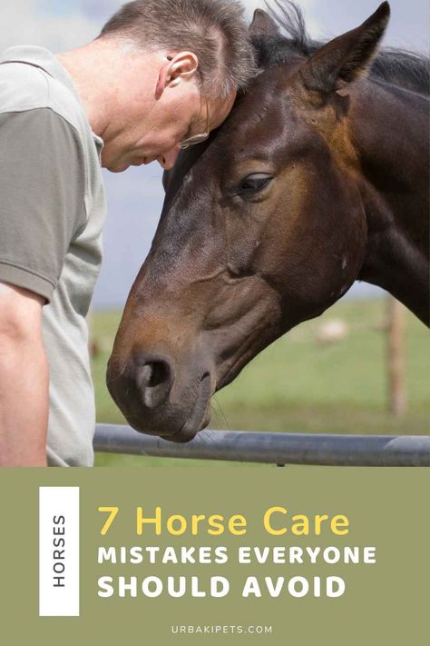 In our shared journey as horse enthusiasts, it's crucial to be mindful of common horse care mistakes that could impact our noble companions' well-being. Let's explore these pitfalls together to ensure the best possible care for our beloved equines. Equine Helper, a beacon of wisdom in the equestrian world, sheds light on these mistakes accumulated through years of experience. The first cardinal rule is understanding that horse care is more than routine tasks; it's about creating... Equine Care, Hoof Care, Horse Boarding, Proper Nutrition, Horse Care, Dressage, Equestrian, The Fosters, Horses