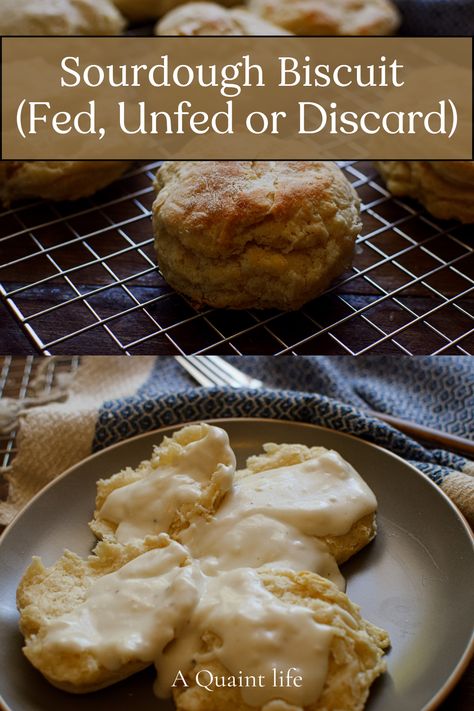 This sourdough biscuit recipe makes a delicious, tangy biscuit made with the use of a sourdough starter or sourdough discard! Sourdough Biscuits Recipe Farmhouse On Boone, Sourdough Buiscits Recipes, Sourdough Freezer Biscuits, Sourdough Drop Biscuits, Sourdough Discard Biscuits Easy, Sourdough Biscuit, Sourdough Biscuits Recipe, Sourdough Discard Biscuits, Discard Biscuits