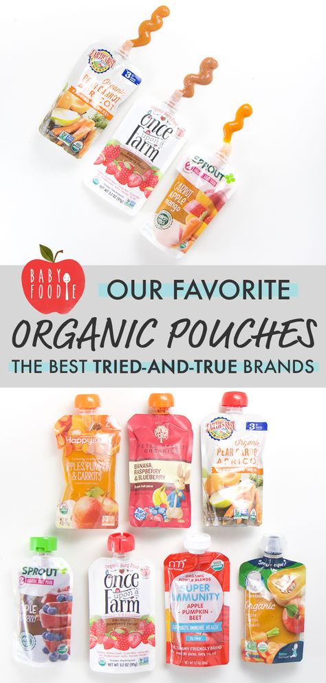 9 Best Organic Baby Food Pouches - an expert review of the best tried-and-true brands! I tested all 9 brands for consistency, taste, ingredients and price and come up with my 4 winners! Easy guide on the best store-bought brand pouches to serve baby! #organicbabyfood #review #stage2 Baby Food Recipes Stage 1, Organic Baby Snacks, Baby Smoothies, Baby Food Pouches, Diy Baby Food, Organic Baby Toys, Baby Food Pouch Recipes, Baby Cereal, Baby Food Storage