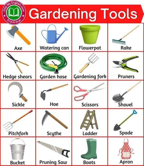 Gardening Vocabulary, Flight Checklist, Morning Study, English Vocabulary List, Basic English Grammar Book, Gardening Tools Names, English Grammar Book, English Learning Spoken, Good Vocabulary Words