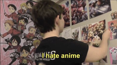 Boy says i hate anime, but it’s a meme Wall, Anime