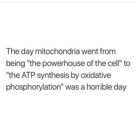 Biology Jokes, Biology Memes, Biology Humor, Grad Quotes, Super Funny Memes, Science Jokes, Science Humor, College Humor, School Memes