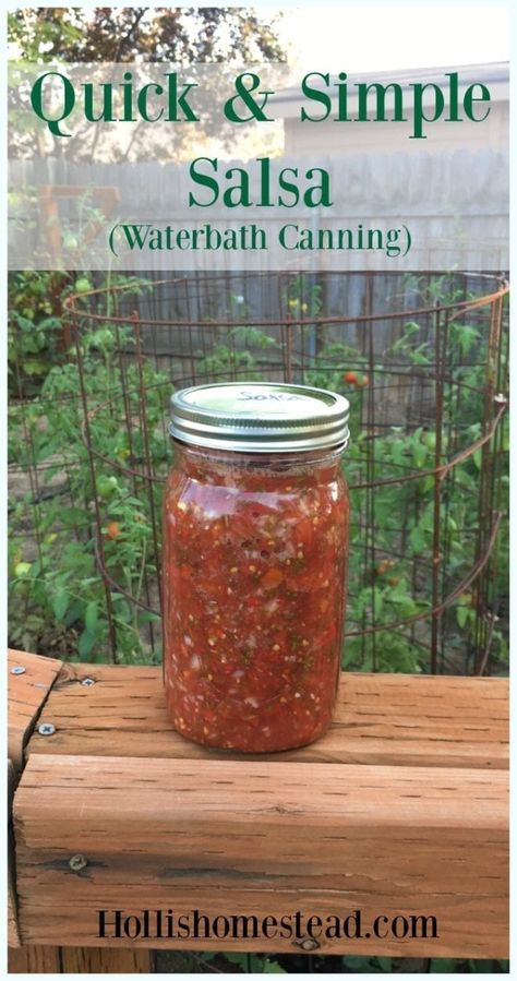 Salsa Recipe For Canning, Canning Homemade Salsa, Canned Salsa, Canned Salsa Recipes, Salsa Canning Recipes, Water Bath Canning Recipes, Southwest Recipes, Fresh Salsa Recipe, Canning Salsa