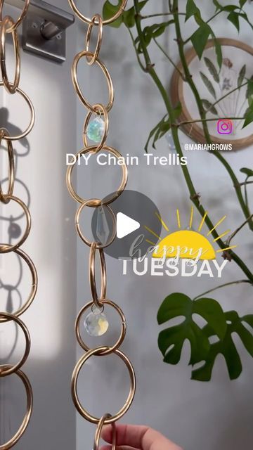 Gardening 4 Life on Instagram: "This is so pretty! I’m definitely making one asap🤗💎☀️

#diy #crafty #suncatcher #diamond #houseplants #crazyplantlady #homedecor #trellis #plantlife 

Thanks for the inspo @mariahgrows" Chain Trellis For Plants, Diy Plant Trellis, Chain Trellis, Diy Chain, Trellis Plants, March 5, Diy Plants, Plant Lady, 4 Life