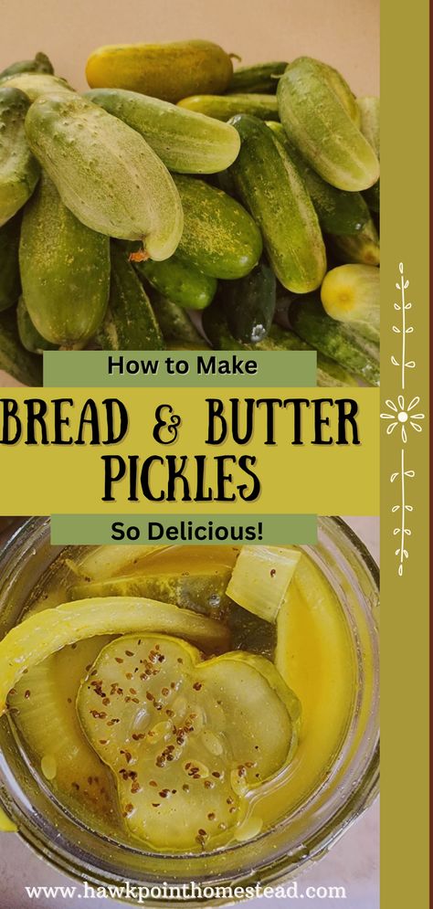 Easy Pickles Canning, Making Pickles From Cucumbers Easy, Bread And Butter Pickle Recipe Canning, Cucumber Pickles Canning, Butter Pickles Recipes, Canning Cucumbers For Pickles, Make Pickles From Cucumbers, Bread Butter Pickle Recipe, Best Bread And Butter Pickle Recipe