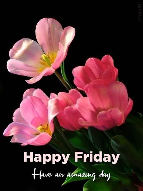 Friday Flowers Morning, Happy Friday Flowers, Friday Morning Greetings, Good Morning Gif Images, Flowers Morning, Friday Flowers, Basket Flower Arrangements, Happy Friday The 13th, Friday Blessings