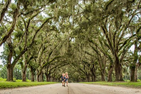 Family Can Travel - 2 Days in Savannah with Kids - Wormsloe Historic Site - Kids having fun under Oaks and Spanish Moss Kids Having Fun, Interior House Design, House Design Trends, Family Vacation Destinations, Spanish Moss, Savannah Georgia, Savannah Ga, Beautiful Architecture, Outdoor Fun