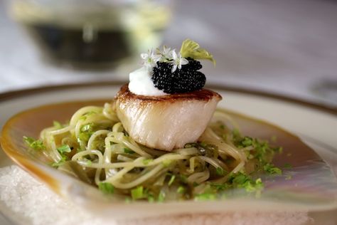 An Elegant Little Starter: Scallop & Melted Leek Pasta Scallops And Caviar, Caviar Pasta, Caviar Appetizers, Party Canapes, Leek Pasta, Lemon Creme, Caviar Recipes, Elegant Appetizers, Scallop Recipes