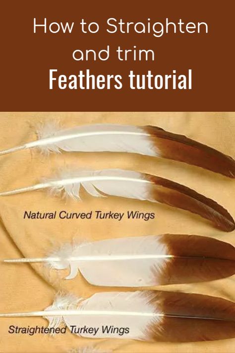 American Indian Crafts, Smudging Feathers, Feather Crafts Diy, Native American Feathers, Native Beading, Feather Diy, Feather Quill, Eagle Feathers, Bone Crafts