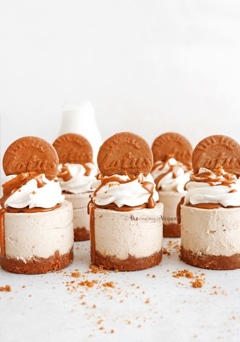 Biscoff Recipes, No Bake Chocolate Cheesecake, Biscoff Cheesecake, Biscoff Biscuits, Dairy Free Cream Cheese, Mini Cheesecake Recipes, Biscoff Cookie Butter, Mini Torte, Biscoff Spread