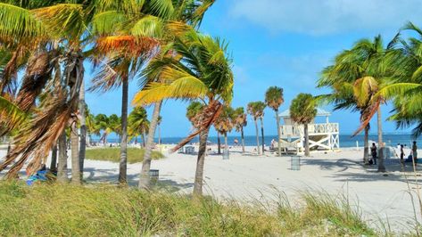 Best Hotels In Miami, Florida Vacation Spots, Crandon Park, Florida Lighthouses, Good Restaurants, Miami Travel Guide, Beach Week, Miami Travel, Florida State Parks