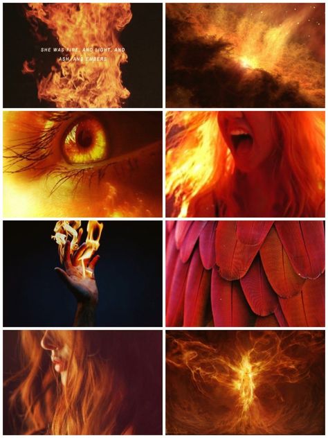 Phoenix Core Aesthetic, Fire Wings Aesthetic, Phoenix Aesthetic Bird, Phoenix Moodboard, Fire Fairy Aesthetic, Lava Mermaid, Penelope Aesthetic, Phoenix Core, Phoenix Aesthetic