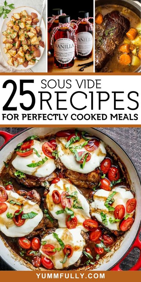 25 Sous Vide Recipes for Perfectly Cooked Meals - Yummy and fully Sous Vide Recipes Instant Pot, Sous Vide Freezer Meals, Sous Vide Recipes Fish, Sous Vide Thanksgiving Recipes, Sou Vide Ribeye Steak, Instant Pot Sous Vide Recipes, Easy Sous Vide Recipes, Souse Vide Recipes, Healthy Sous Vide Recipes