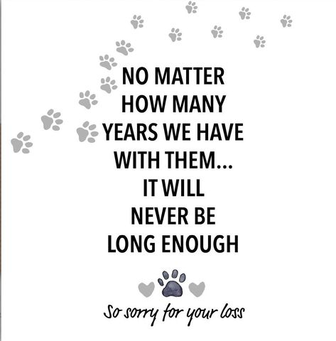 Sorry For The Loss Of Your Dog, Dog Sympathy Quotes, Good Luck Interview, Pet Sympathy Quotes, Dog Heaven Quotes, Get Well Messages, Dog Poems, Sympathy Greetings, Sympathy Messages