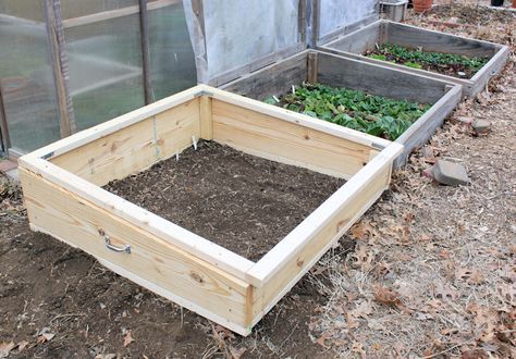 Outdoor Tortoise Enclosure, Bearded Dragon Vivarium, Vegetable Tian, Cold Frame Diy, Diy Reptile, Bearded Dragon Diy, Gecko Habitat, Bearded Dragon Enclosure, Cold Frame Gardening