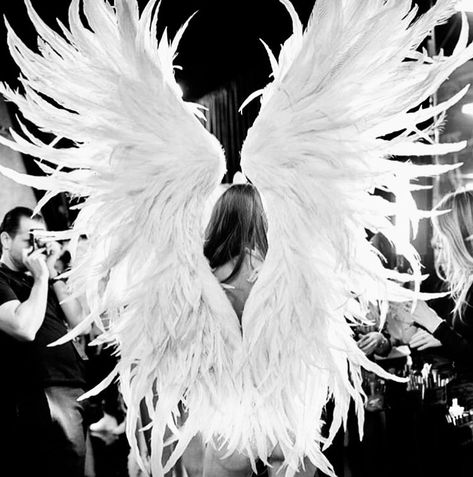 Victoria Secret Wings, Mode Gossip Girl, Victoria's Secret Aesthetic, Gizele Oliveira, Victoria's Secrets, Estilo Hippy, Vs Fashion Shows, Vs Angels, Vs Models