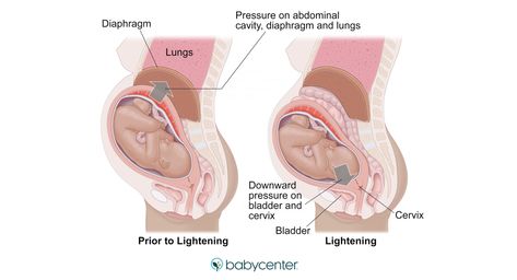 When is my baby likely to drop? Baby Dropping Before And After, How To Get Baby To Drop In Pelvis, Pregnant Anatomy, Pregnancy Anatomy, Preterm Labor, Lower Stomach, Prepare For Labor, Pregnancy Signs, Pregnancy Months