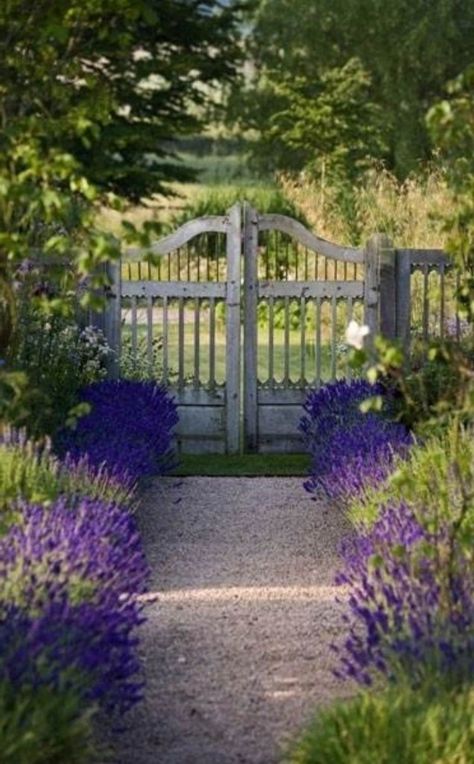 10 Floral Garden Gates In Bold Color - Page 2 of 2 - Garden Lovers Club Garden Gate Decor, Garden Gates And Fencing, Garden Gate Design, Piscina Natural, Have Inspiration, Garden Gate, White Gardens, Garden Lovers, Garden Cottage