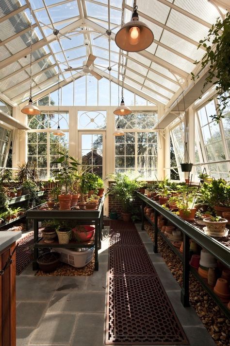 Forest House Modern, Greenhouses Ideas, Greenhouse Attached To House, Aesthetic Greenhouse, Greenhouse Studio, Greenhouse Aesthetic, Greenhouse Planting, Dream Greenhouse, Greenhouse Kitchen