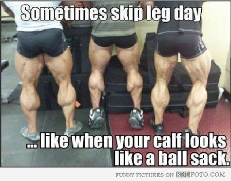 General Health & Fitness: Humor BodySpace FitBoard Leg Day Humor, Dorian Yates, Funny Captions, Memes Humor, Gym Humor, A Gym, Workout Humor, A Mirror, Laughing So Hard