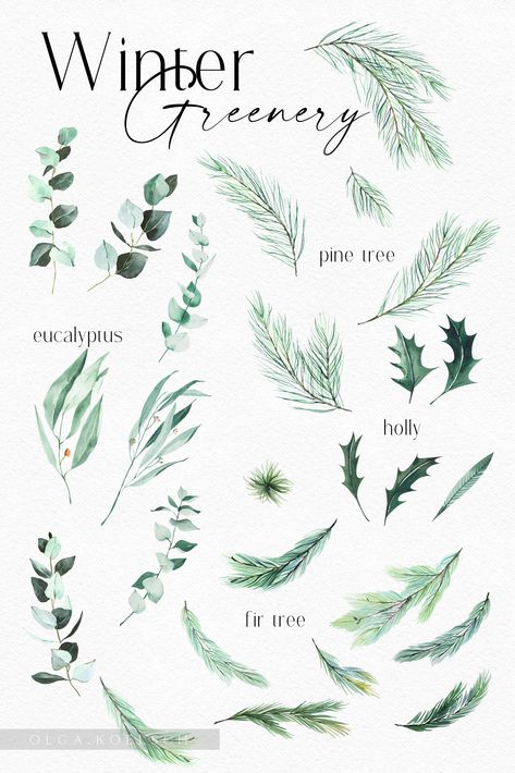 Lds Sacrament, Pine Tree Clipart, Eucalyptus And Pine, Olga Koelsch, Greenery Clipart, Protea Wedding, Vintage Pink Christmas, Tree Clipart, Gold Christmas Decorations