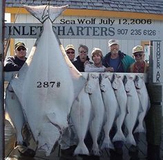 Halibut Fishing Alaska, Halibut Tacos, Alaskan Halibut, Fishing Alaska, Halibut Fishing, Homer Alaska, Kenai Peninsula, Alaska Trip, Alaska Fishing