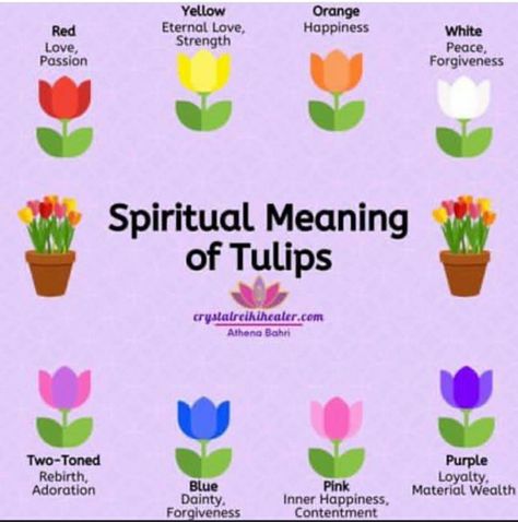 Tulip Color Meaning, Tulips Quotes, Witch Plants, Flowers Language, Witchy Herbs, Paper Bouquet Diy, Tulips Meaning, Witchy Tips, Tulip Colors