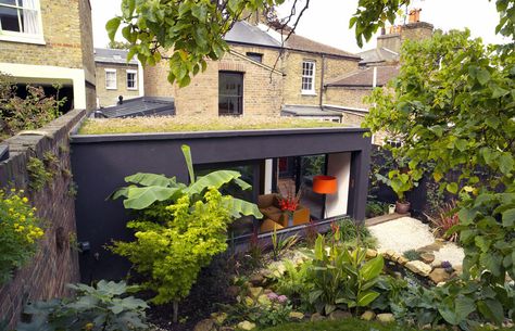 Green roof on box extension. www.methodstudio.london Green Roof Extension, Green Roof Detail, Sedum Roof Extension, Flat Roof Extension With Lantern, Flat Roof Lantern Extension, Roof Plants, Extension Veranda, Extensive Green Roof, Sedum Roof