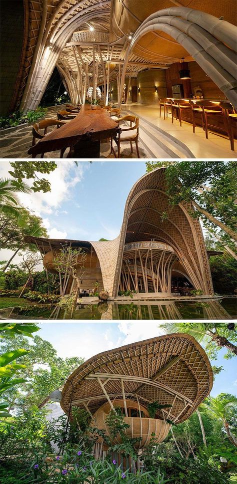 Luxury Bamboo House, Ulaman Eco Resort, Eco Buildings Architecture, Ulaman Eco Retreat, Eco Industrial Design, Biofilic Architecture, Wellness Resort Architecture, Eco Building Architecture, Bamboo Structure Architecture