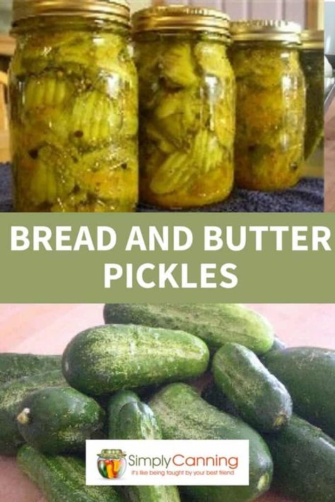 Bread And Butter Pickle Recipe, Pickles Cucumbers, Bread N Butter Pickle Recipe, Pickle Recipes Homemade, Bread And Butter Pickles, Pickle Recipes, How To Make Pickles, Cucumber Canning, Butter Pickles