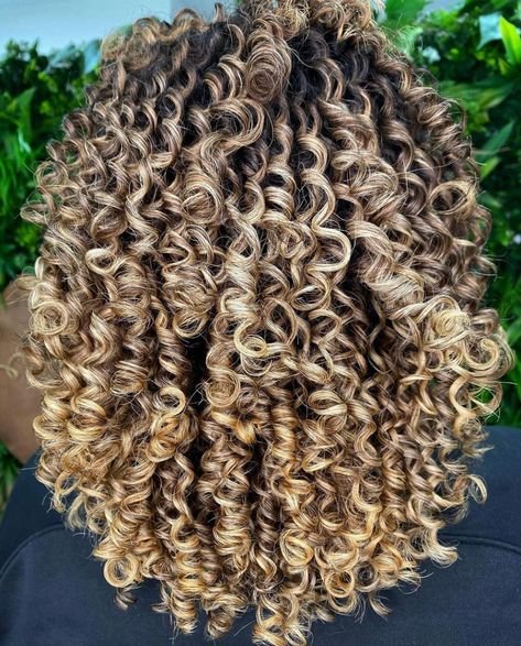 Blonde Balayage Curly Hair Natural Curls, Chunky Blonde Highlights Curly Hair, Curly Hair Ombre Balayage, Curly Hair Highlights And Lowlights, Blonde Highlights Curly Hair, Natural Dark Hair, Curly Highlights, Curly Hair Salon, Curly Color