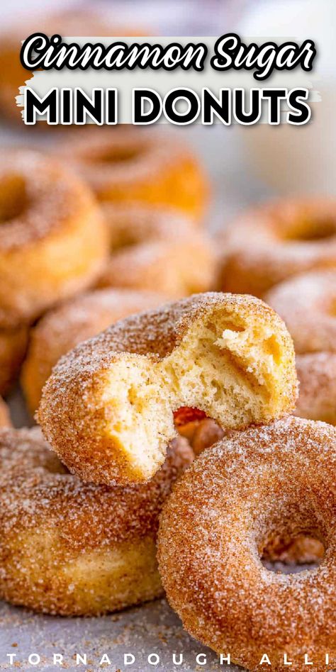 Dash Mini Donut Recipe, Dash Donut Recipe, Mini Cinnamon Donut Recipe, Mini Donut Batter Recipe, Cinnamon Mini Donut, Easy Mini Donut Recipe For Donut Maker, Baked Mini Donut Recipes Easy, Baked Mini Doughnut Recipes, Mini Cake Donuts Baked