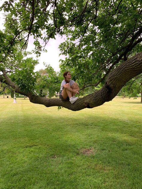 Sitting Under A Tree Aesthetic, Sitting In A Tree Aesthetic, Summer Photo Dump, Adventure Character, Jenner Hair, Ib Art, Beach Instagram Pictures, Forest Aesthetic, Pretty Trees