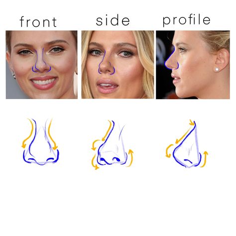 Pulling Eye Down Reference, Draw Nose Step By Step, Nose Drawing Step By Step, How To Draw Noses, Different Noses, How To Draw Nose, Nose Tutorial, Draw Noses, Different Nose Shapes