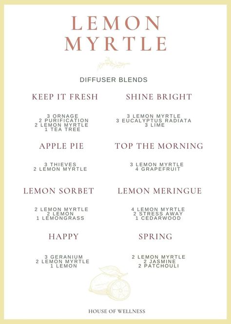 Lemon Myrtle Diffuser Blends, Lemon Myrtle Essential Oil, Scent Blends, Essential Oil Diffuser Blends Recipes, Lemon Sorbet, Homemade Oil, Lemon Myrtle, Diffuser Blend, Diffuser Recipes