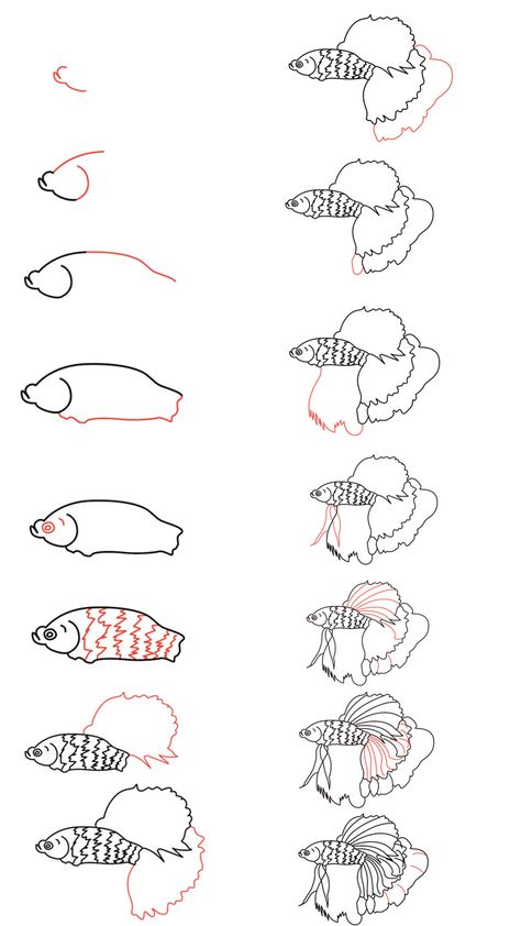 How To Draw A Betta Fish Step By Step, How To Draw A Betta Fish, Beta Fish Drawing Step By Step, Betta Fish Drawing Easy, Beta Fish Drawing Simple, Watercolor Beta Fish, Insect Doodles, Beta Fish Drawing, Drawing Thoughts