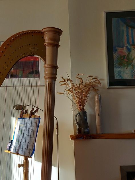 Musical Instrument Aesthetic, Instrument Asthetic, Harp Aesthetic, Orchestra Aesthetic, Harp Music, Harp Room, Harp Aesthetic Dark, Dark Academia School, Harp Playing Aesthetic