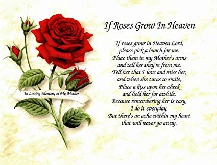 Amazon.com - In Memory of Mother "If Roses Grow in Heaven" Memorial Poem For Loss of Mom With Red Rose - Sympathy Poems, I Thought Of You Today, Mom In Heaven, Wildlife Garden, Loss Of Mother, Pastors Appreciation, Condolence Gift, Pastors Wife, Sisters Art