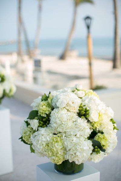 Green and white hydrangea aisle decor. Photography by Jen Ashley / jenandashley.com, Event Design by Weve Got The Keys / wevegotthekeys.com/, Floral Design by Milan Events / milanevent.biz/ White And Green Hydrangea Bouquet, White And Green Hydrangea Wedding, Green And White Hydrangea, Hydrangea Arrangements Wedding, Green Hydrangea Bouquet, Green Hydrangea Wedding, White Hydrangea Wedding, Hydrangea Bouquet Wedding, Wedding Flowers Hydrangea