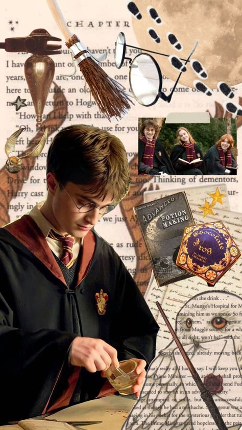 Harry Potter Journal, Harry Potter Wallpapers, Paige Halliwell, Harry Potter Painting, Daniel Radcliffe Harry Potter, Harry Potter Quidditch, Buku Harry Potter, Potter Head, Harry Potter Icons