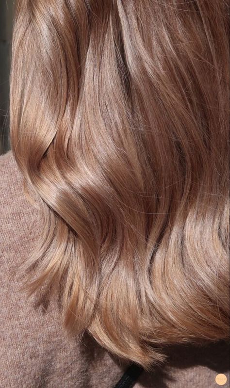 Medium Honey Blonde Hair, Medium Champagne Hair Color, Beige Lowlights, Champagne Hair Color, Black Hair Hairstyles, Light Balayage, Honey Aesthetic, Highlights Brown Hair Balayage, Short Haircut Tutorial