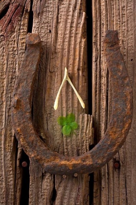 Wishbone, Four-Leaf Clover & Horseshoe Good Luck Clover, Irish Cottage, Irish Eyes, Here's The Thing, Lucky Horseshoe, Good Luck To You, Luck Of The Irish, Luck Charms, Horse Art